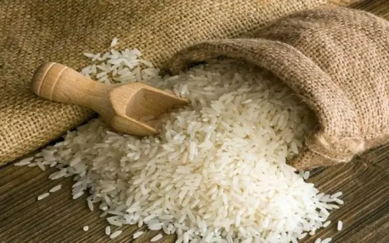 بشرى سارة .. رئيس الشعبة: كيلو الأرز انخفض 5 جنيهات في الأسواق اليوم