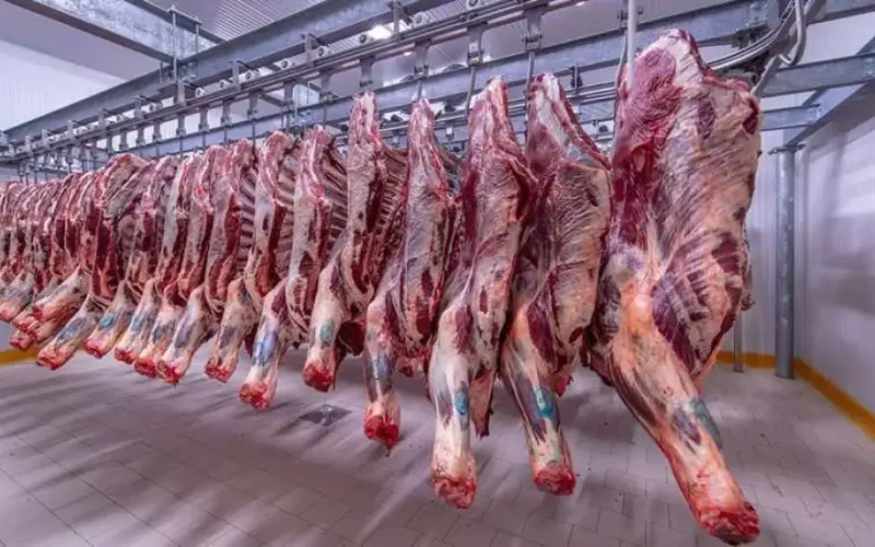 يُهم جميع المواطنين.. «الفلاحين» تَزف خبرًا سارًا حول أسعار اللحوم بالأسواق
