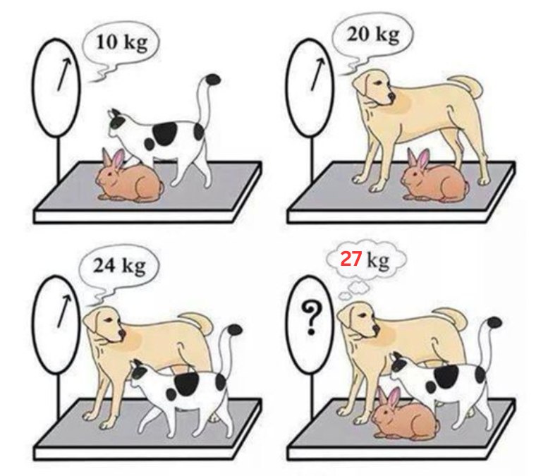 cat dog rabbit weight solution