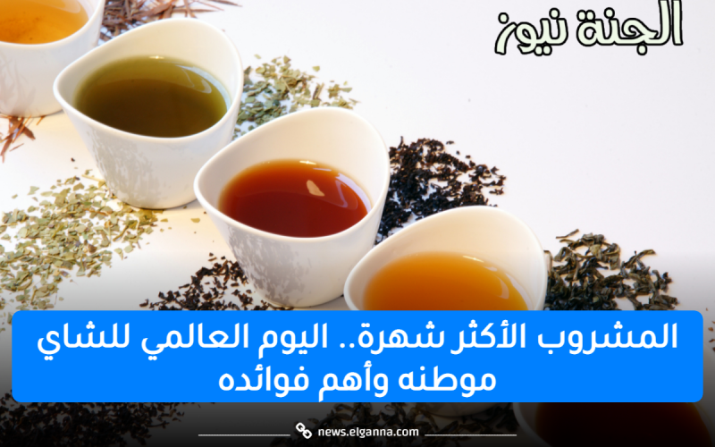 المشروب الأكثر شهرة.. اليوم العالمي للشاي موطنه وأهم فوائده