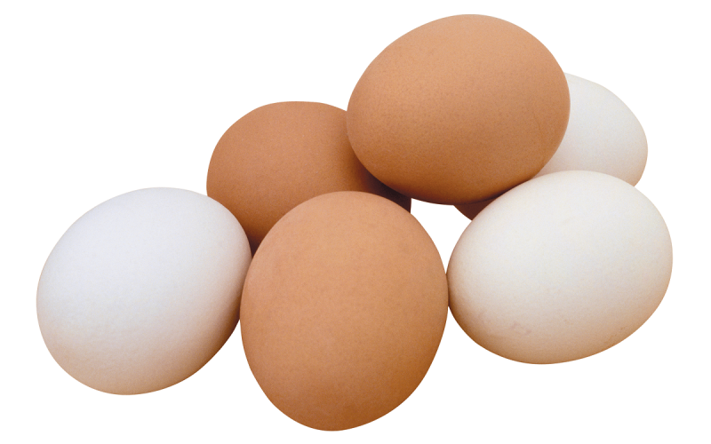 الزراعة تبشر بتراجع كبير في أسعار البيض ..  تعرف على سعر الكرتونة