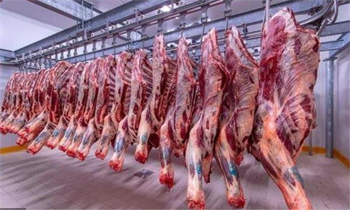 أسعار اللحوم البرازيلية المجمدة والمفرومة في الأسواق